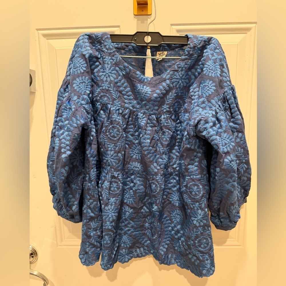 Ivy Jane blue blouse sz small